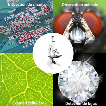 Quatre applications du microscope : circuits, animaux, cellules, bijoux