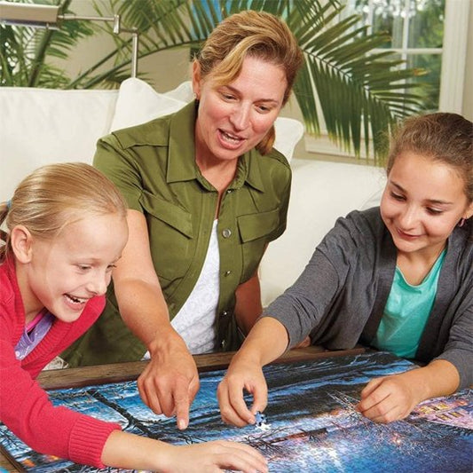 Puzzle 1000 pièces hiver aurores boréales James Meger