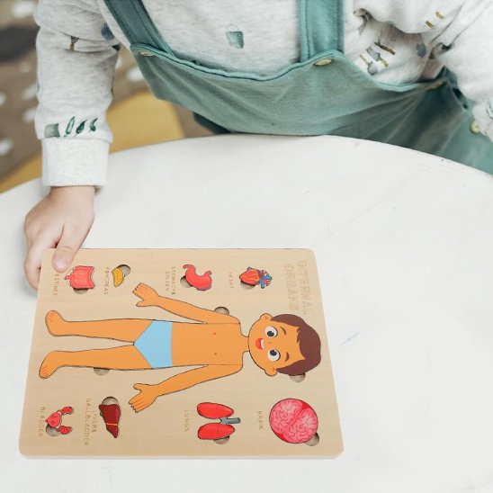 Puzzle bois, jouet éducatif organes du corps préscolaire maternelle
