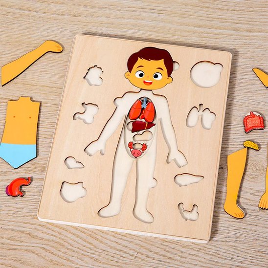 Puzzle bois, planche occupée anatomie enfant bois garçon fille